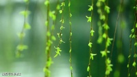 【古诗词鉴赏】宋代词人朱服《渔家傲·小雨纤纤风细细》词赏析