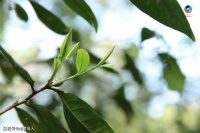 给我一杯茶的时间，听听我的故事！