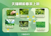 清明节前，西湖龙井、洞庭碧螺春、黄山毛峰等产区春茶上新天猫