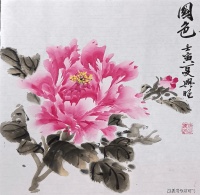 医者丹青 诗意人生——记我所认识的杨兴旺老师