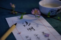 明日清明，扫墓建议不用2果，不带3物，讲究老传统，福气自然来