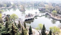 阳泉：花红柳绿春意浓