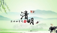 又是一年清明至 插柳留春寄追思