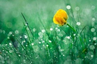 清明日，感受民族精神薪火传承