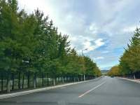 男人会有这些“小动作”，多半是因为他爱极了你，你懂吗？
