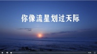 致敬先烈原创MV：你像流星划过天际