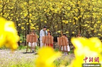 四川泸州：春日出游画春天