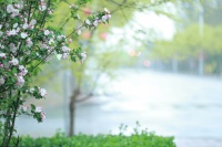 雨润大地向荣景，水暖万物满城春