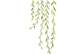 清明节，这些有关节日的知识讲给孩子听！