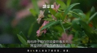 一到春天就好想死啊。