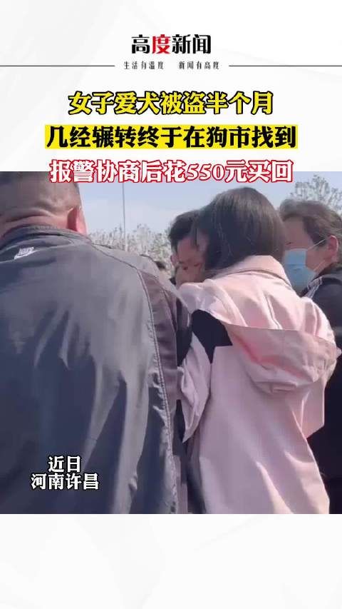 女子爱犬被盗半个月，几经辗转终于在狗市找到……