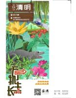 澎湃视觉周选海报｜清明听雨 诗画问茶