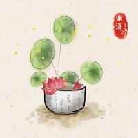 放下怨念，才有能力抵抗命运的风暴