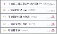 石楠花这么臭，为何还要种这么多？