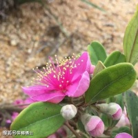 工资越高越幸福？价值的实现才是幸福的“法宝”