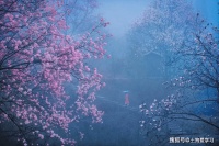 在行动中学习