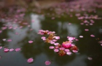 “让你父母赶紧把房子过户给我弟，咱们再结婚”女人：好的