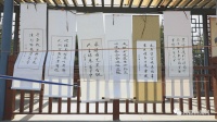 兴县：书法进公园 墨香暖民心