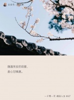 自爱者，一生被世界万物所爱