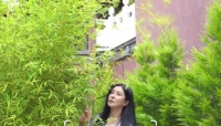 王祖贤近况曝光，现身温哥华寺庙祭拜，引起网友热议