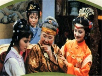 红楼梦中描写人性的神来之笔，莫过于薛宝钗对贾宝玉的吸引