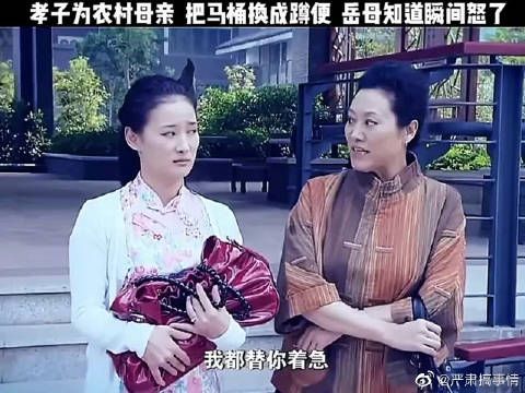 孝子为农村的母亲，把马桶换成蹲便，岳母知道瞬间怒了