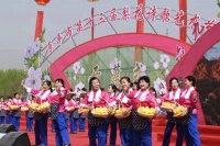 以花为媒以节会友 原平市第十三届梨花诗歌艺术节开幕