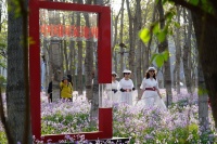 将府公园森林影像季开幕，联合国家地理打造“公园文化生态”IP品牌