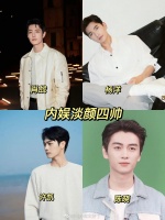 继四大浓颜后网友又评选出了内淡颜四帅……