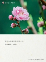 真正的爱，才能看到对方的好