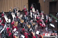 3D打印文琴奏响《梁祝》 音色迷人 《唱响春天》实验交响音乐会在长沙音乐厅上演