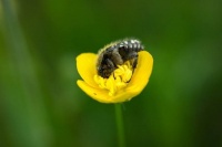 夜雨丨孙江月：春曲子·余家坝春曲（外一首）