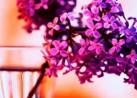 “儿媳，你凭什么换门锁”女人:就凭这是我家，我说了算