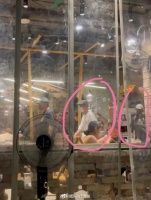 曝光，是甜甜蜜蜜低调的情侣呀！