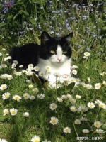 莫泊桑：人的脆弱和坚强都超乎自己的想象