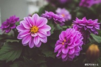 聚会时，抢着买单的，往往是这三种人，值得深交