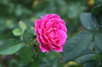 真正好命的女人，往往“不好惹”