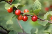 人到中年，这些人就别再联系了，毫无意义