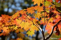 一个女人的不幸，往往是从这两件事开始的