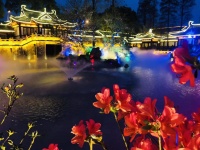 庞培培：人生如花