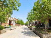 我喜欢坐在平房上，离天空和树很近，离童年很近丨周末读诗