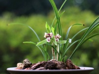 人贪“四样”，一生白忙