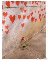 冯唐成事心法：多数我们不舒服的时候是逆境而不是绝境