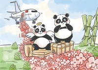 红毯静候“丫丫”“乐乐”回家