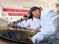 桐柏：手工制茶 香飘四海