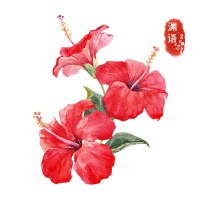 人生，充满无限可能，关键是要踏出第一步