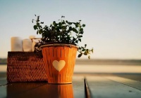 过了50岁，出现这3个征兆是老天在提醒你，晚年危机重重