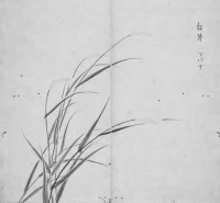 白茅藉藉 谁说无名？