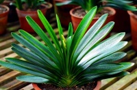 一个人发财之前，要避免破财，丢掉以下几种“习惯”