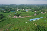 诗人王国平：乐至不仅有丝和诗，还有“思”